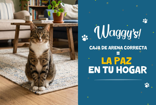 Tu michi no se está “vengando”: Descubre por qué tu gato hace fuera del arenero
