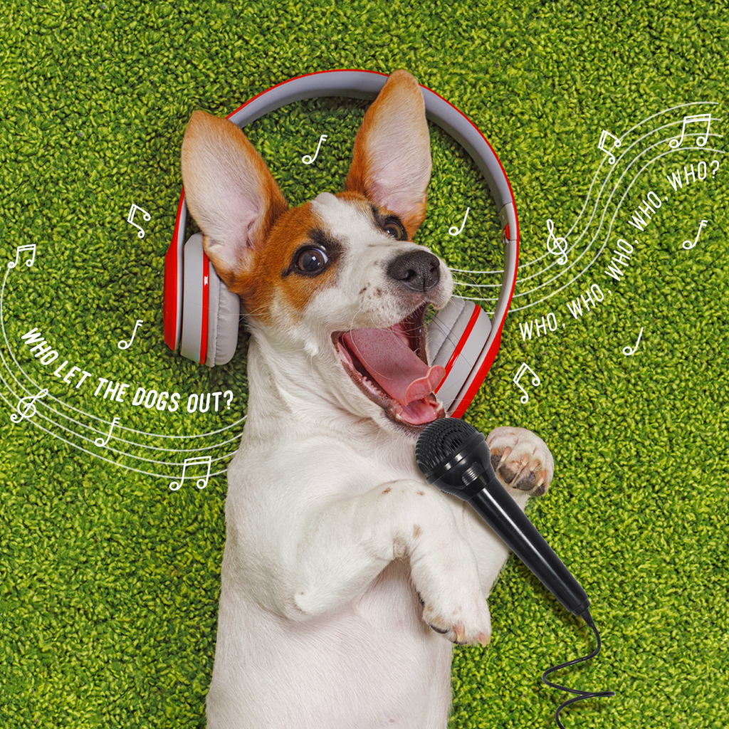 canciones para animales