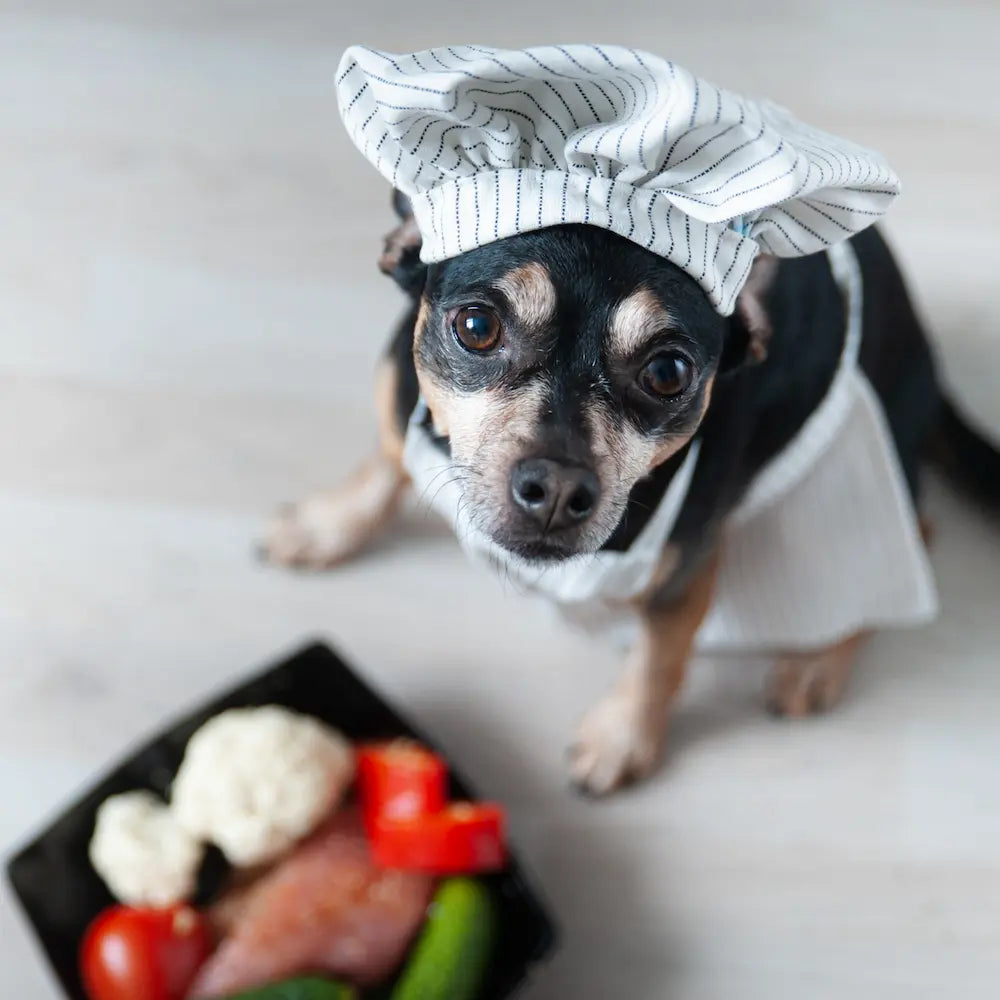 Dieta BARF: ¿Qué es y cómo implementarla en mi mascota?