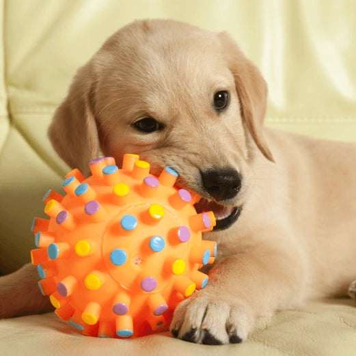 Mejores juguetes para perros que no conocías 2023