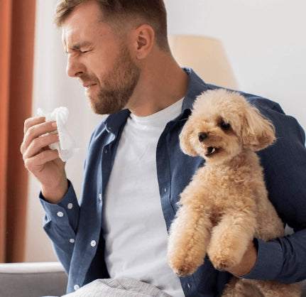 Leptospira en Perros: Qué es, Síntomas y Tratamiento  2023