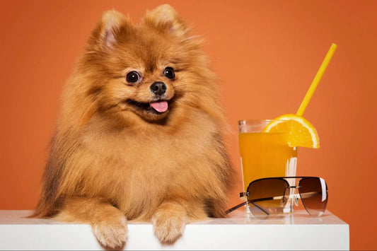 Vitamina C para Perros: 12 Mejores Alimentos y Dosis (2025)