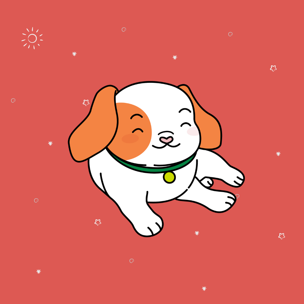 Entrenamiento & Diversión Perros