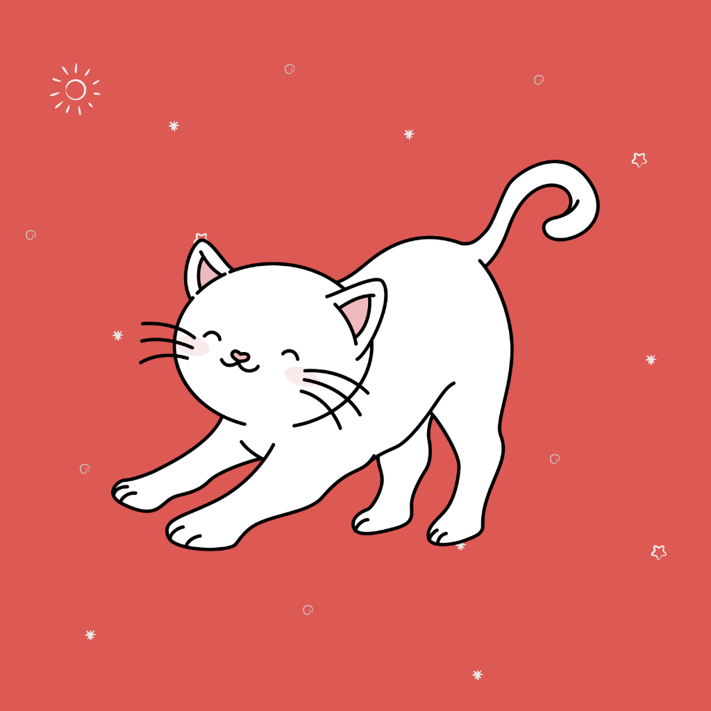 Entrenamiento & Diversión Gatos