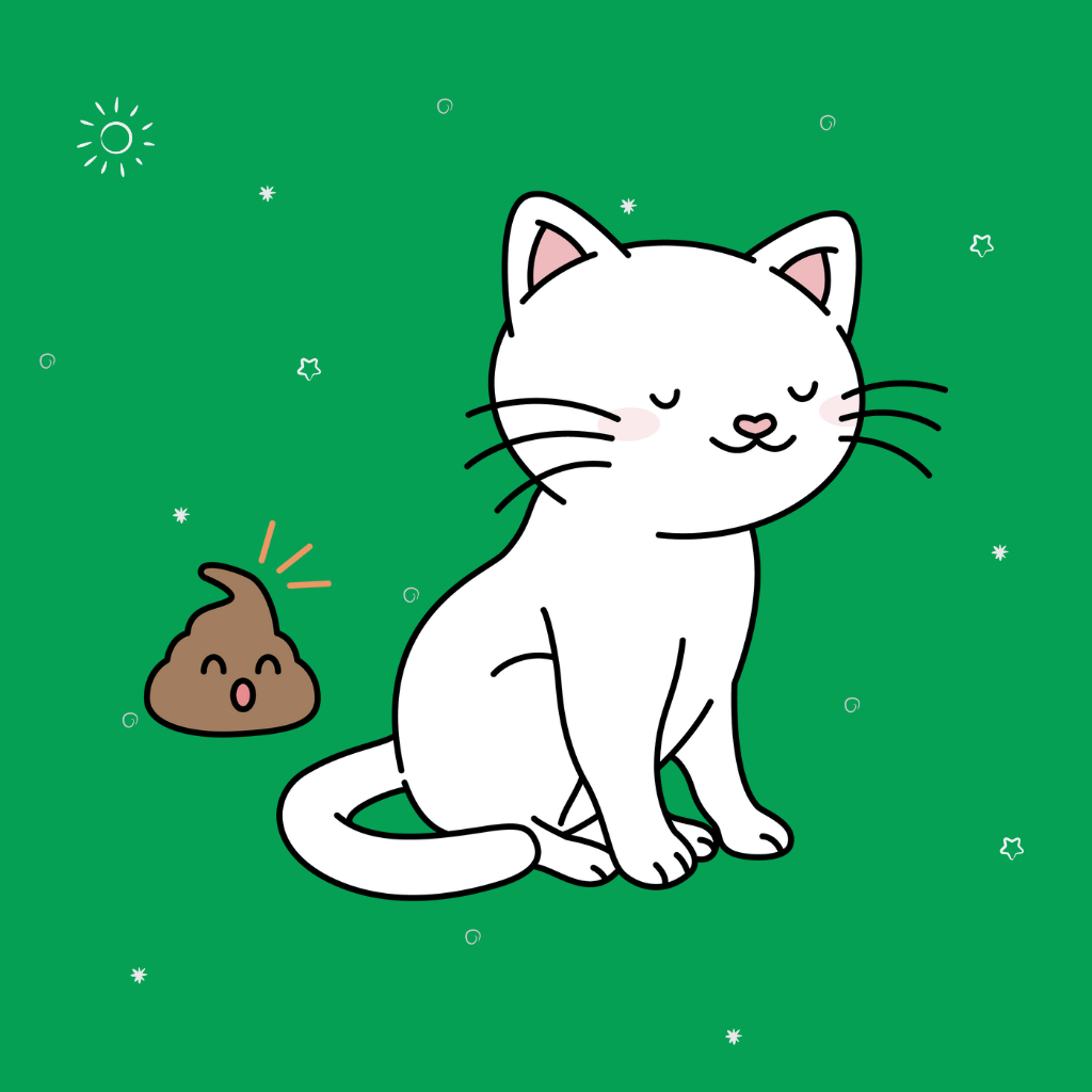 Salud Digestiva Gatos