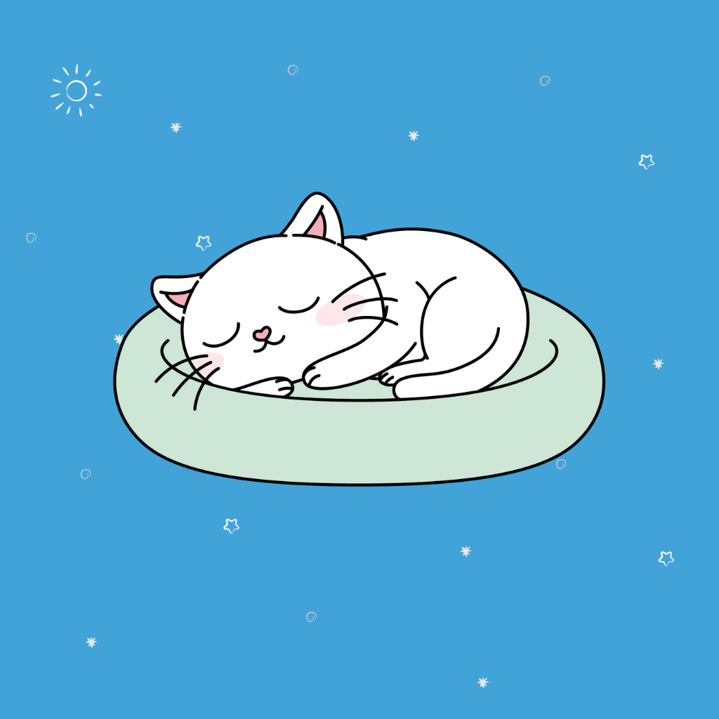 Relajación & Ansiedad Gatos