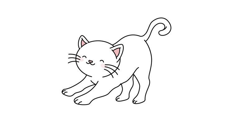 Gatos