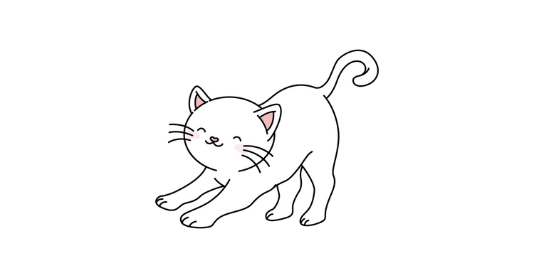 Entrenamiento & Diversión Gatos