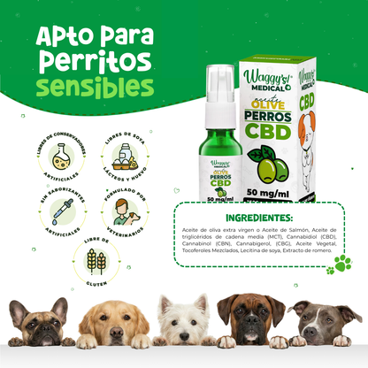 Aceite Calmante para Ansiedad y Dolor en Perros | Waggy's
