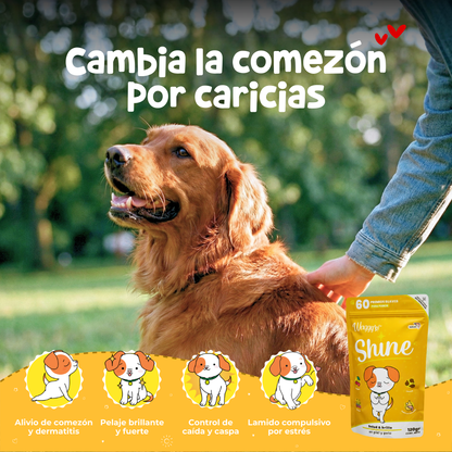 Paquete para Alergias y Comezón en Perros | Waggy's Glow Up Kit