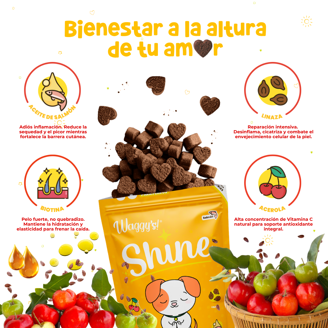 Paquete para Alergias y Comezón en Perros | Waggy's Glow Up Kit