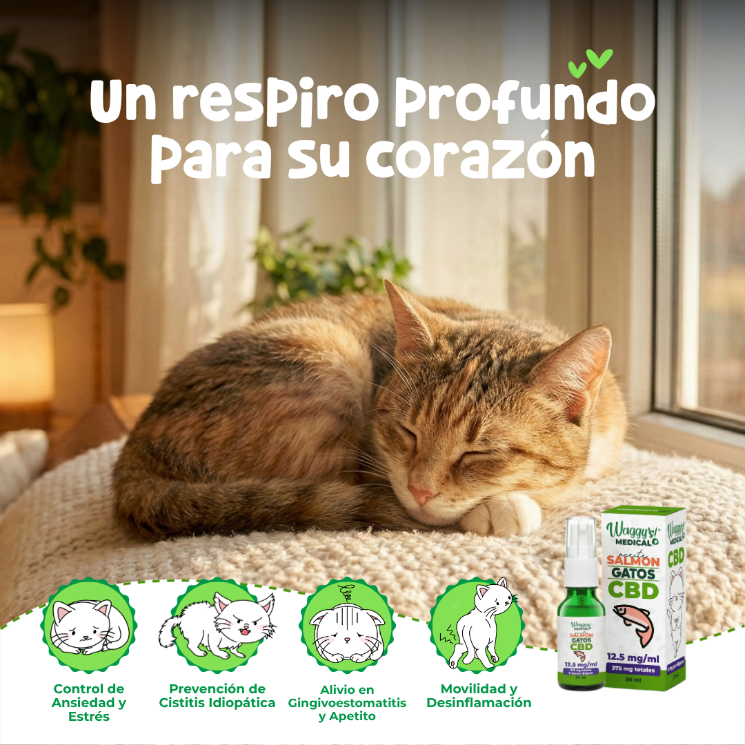 Aceite Calmante para Gatos | Waggy's