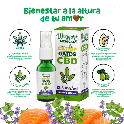 Aceite Calmante para Gatos | Waggy's