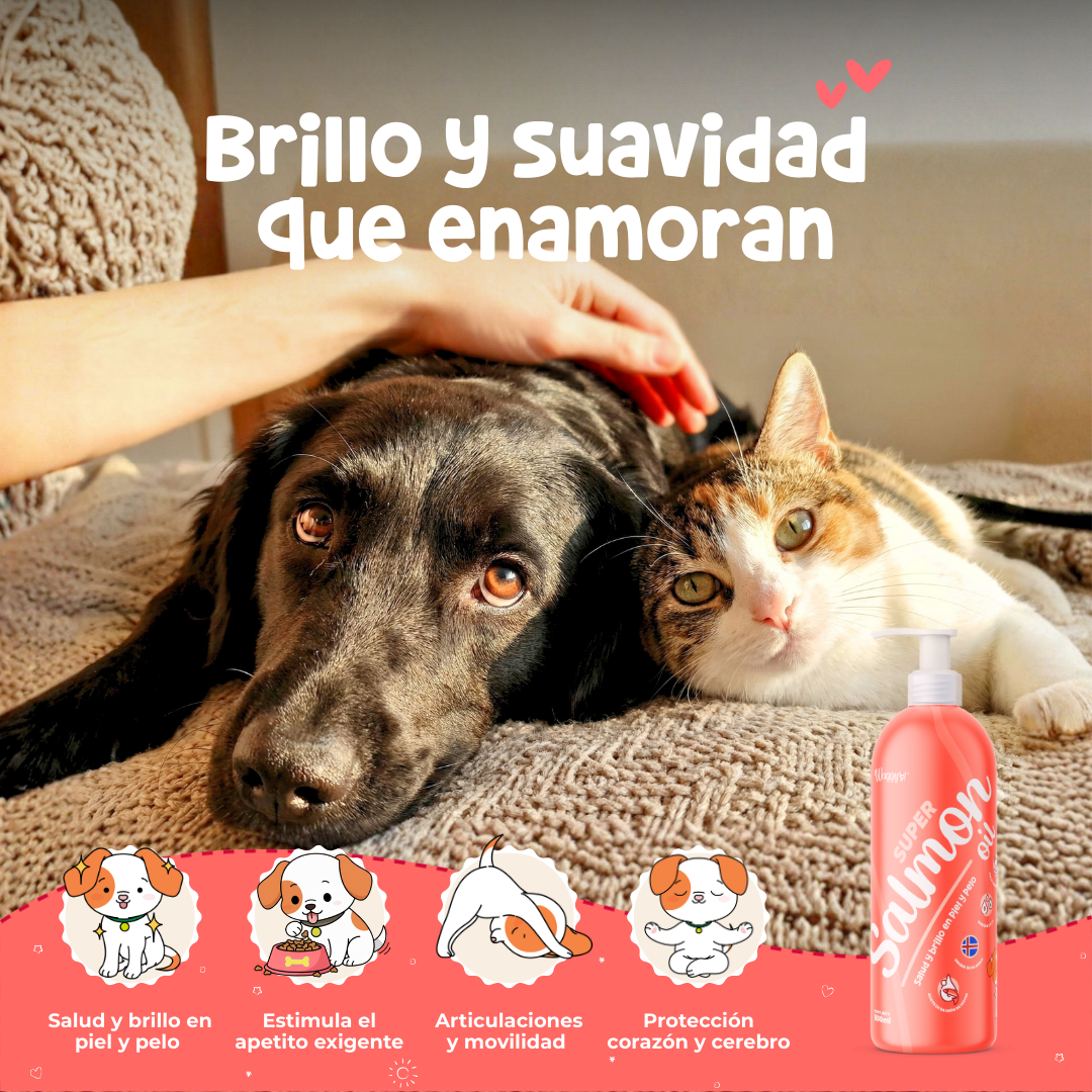 aceite de salmon para perros y gatos