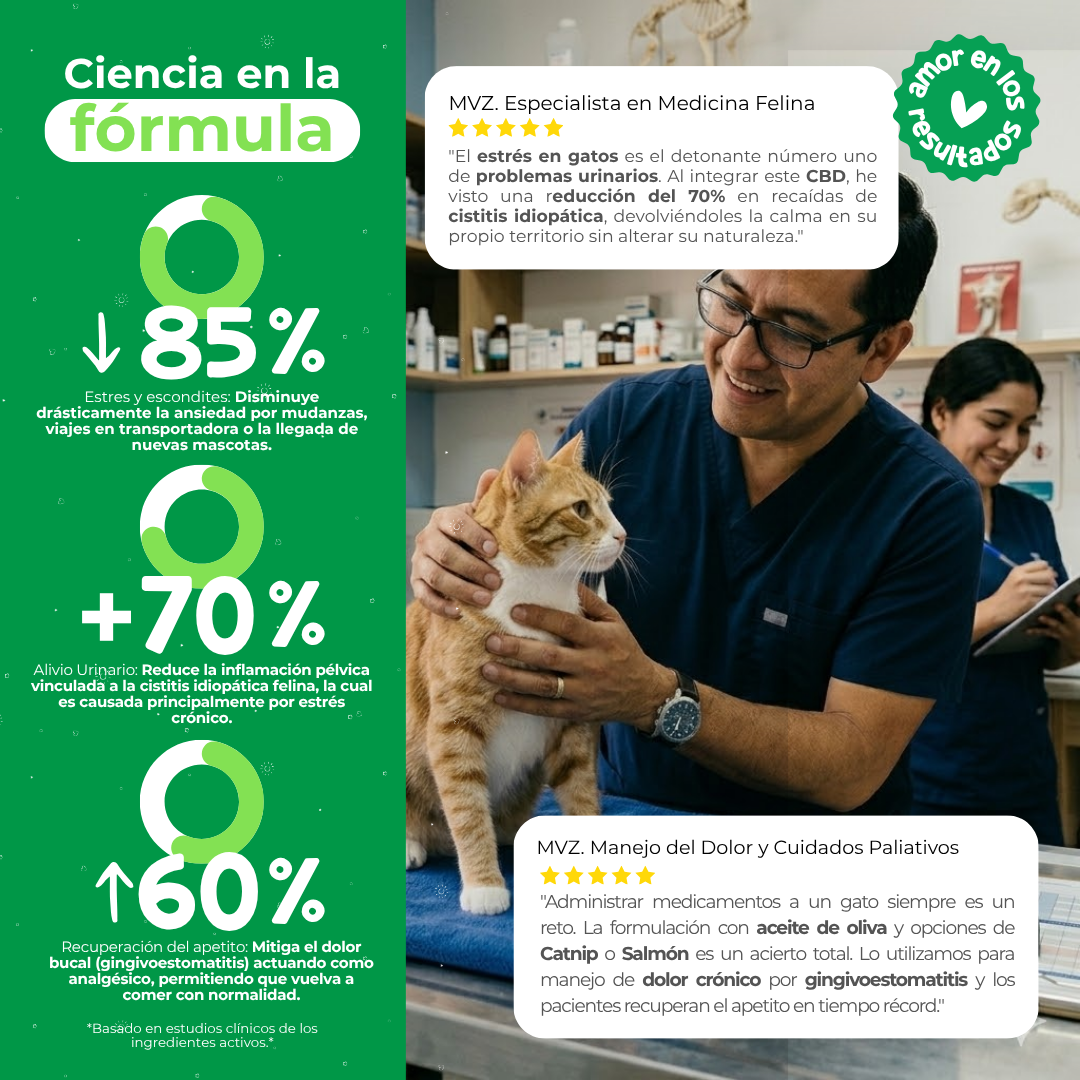 Aceite Calmante para Gatos | Waggy's