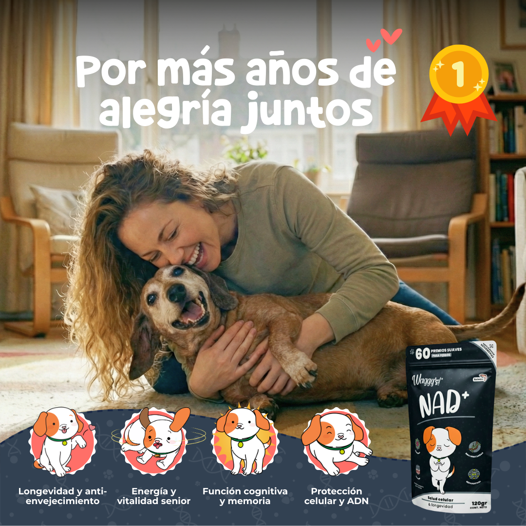 Suplemento Antienvejecimiento y Vitalidad para Perros | Waggy's NAD+