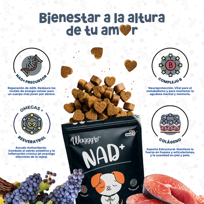 Suplemento Antienvejecimiento y Vitalidad para Perros | Waggy's NAD+