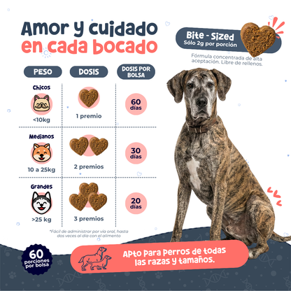 Suplemento Antienvejecimiento y Vitalidad para Perros | Waggy's NAD+