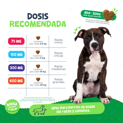 Premios Calmantes para Ansiedad y Dolor en Perros | Waggy's Original