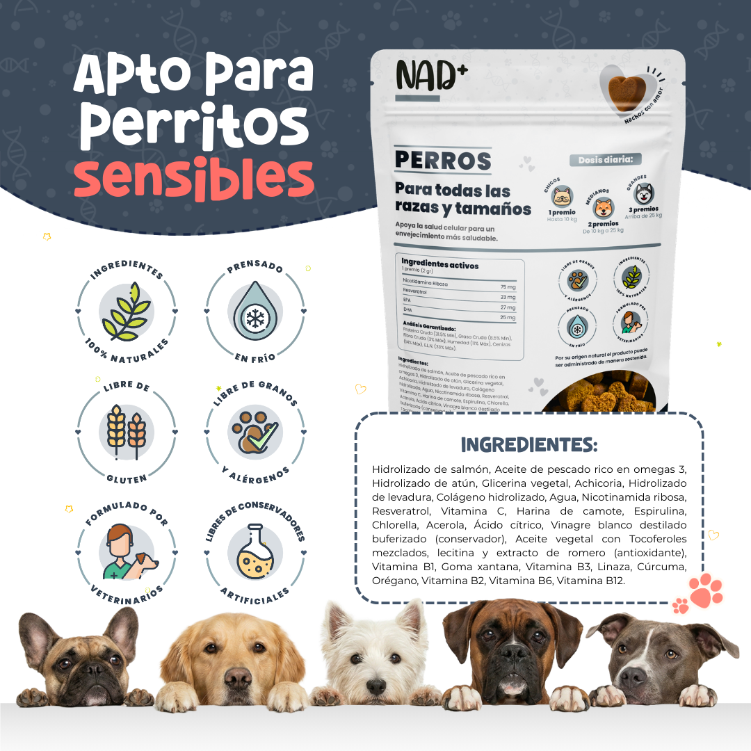 Suplemento Antienvejecimiento y Vitalidad para Perros | Waggy's NAD+