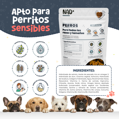 Suplemento Antienvejecimiento y Vitalidad para Perros | Waggy's NAD+