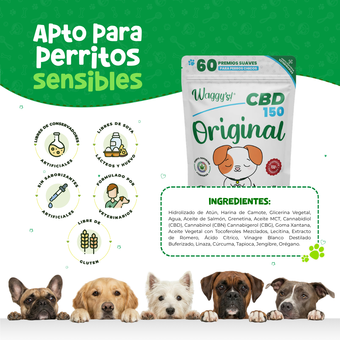 Premios Calmantes para Ansiedad y Dolor en Perros | Waggy's Original