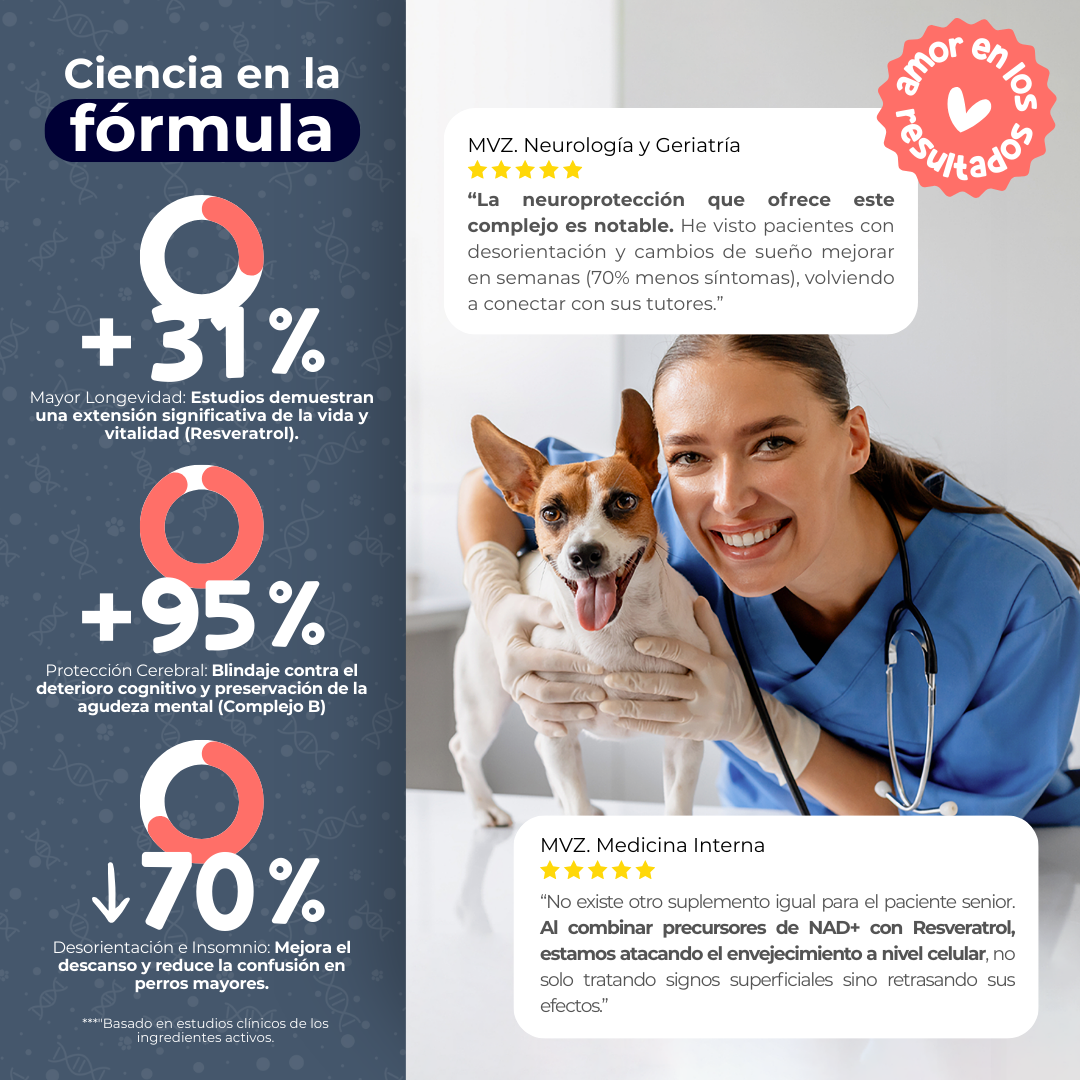 Suplemento Antienvejecimiento y Vitalidad para Perros | Waggy's NAD+