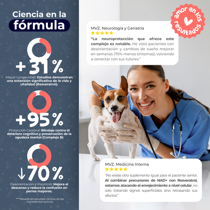 Suplemento Antienvejecimiento y Vitalidad para Perros | Waggy's NAD+
