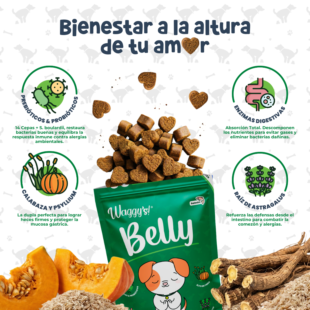 Probióticos para Digestión y Alergias en Perros | Waggy's Belly