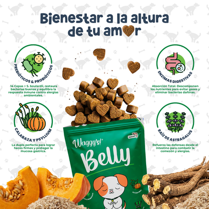 Probióticos para Digestión y Alergias en Perros | Waggy's Belly