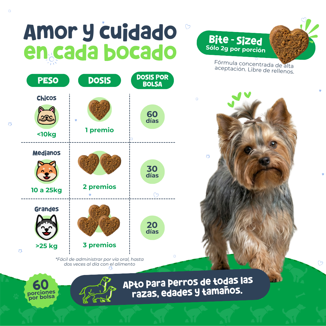 Probióticos para Digestión y Alergias en Perros | Waggy's Belly
