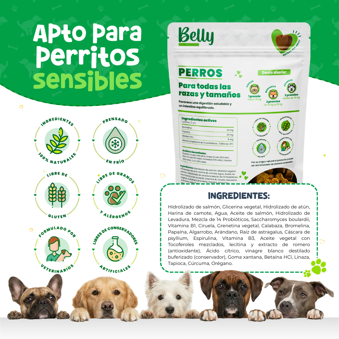 Probióticos para Digestión y Alergias en Perros | Waggy's Belly