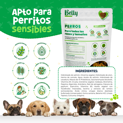 Probióticos para Digestión y Alergias en Perros | Waggy's Belly