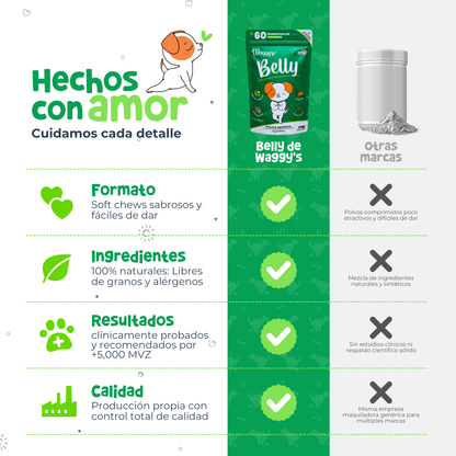 Probióticos para Digestión y Alergias en Perros | Waggy's Belly
