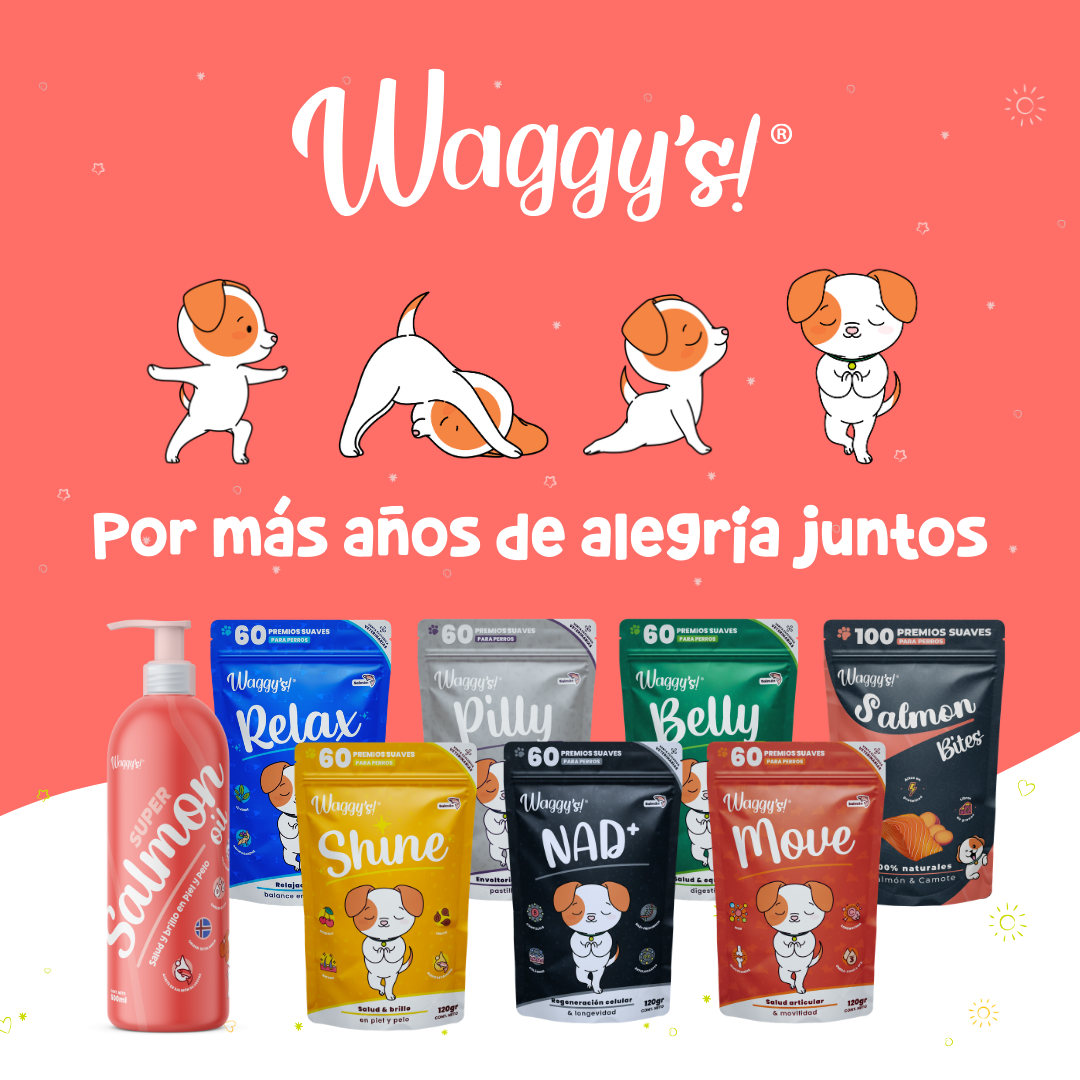 Probióticos para Digestión y Alergias en Perros | Waggy's Belly