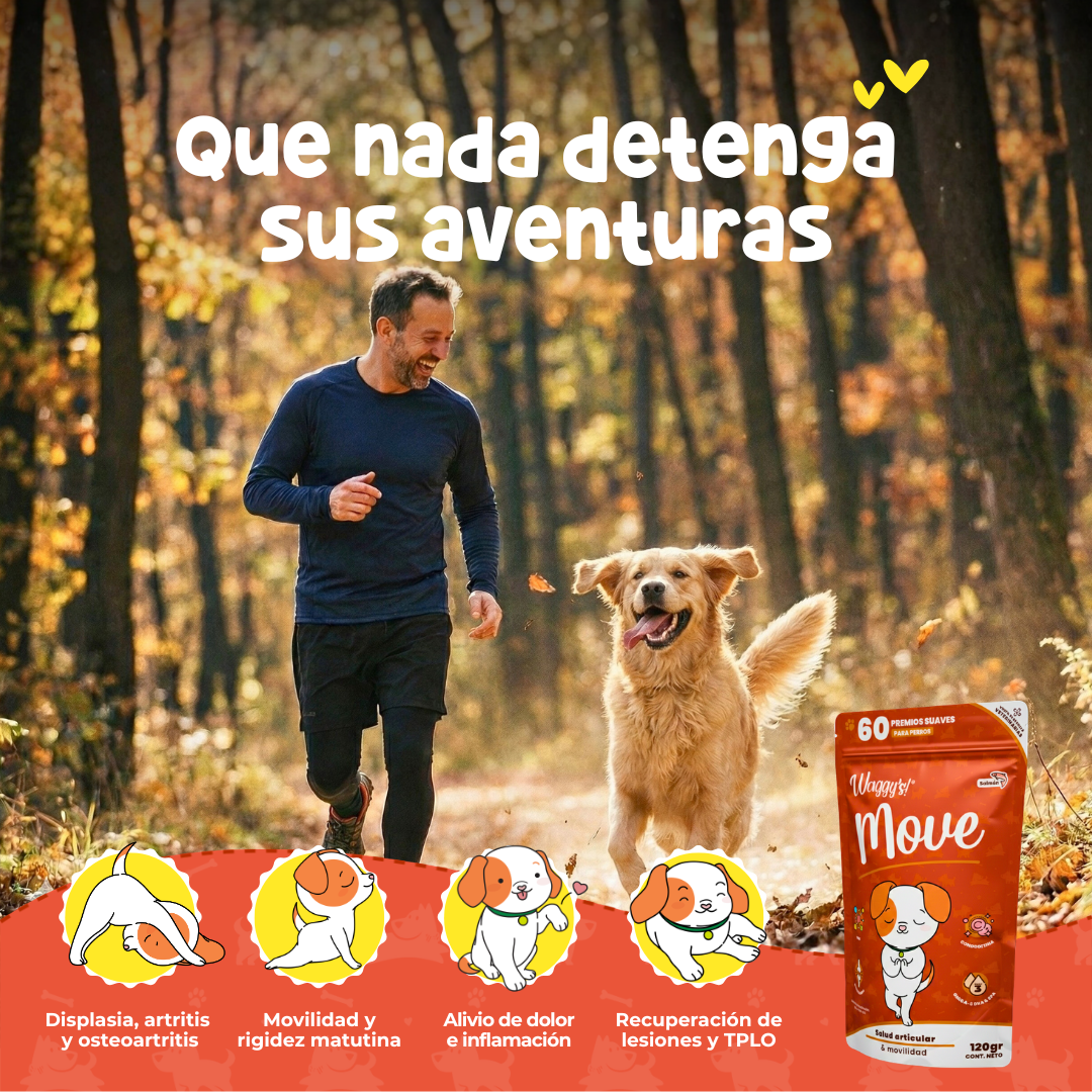 Suplemento Articular para Movilidad y Dolor en Perros | Waggy's Move