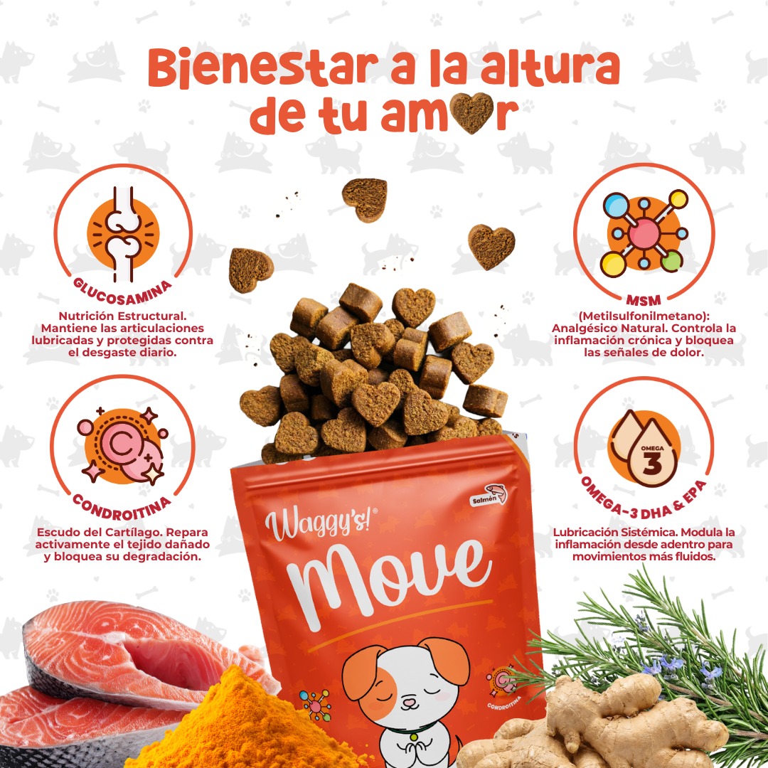 Suplemento Articular para Movilidad y Dolor en Perros | Waggy's Move