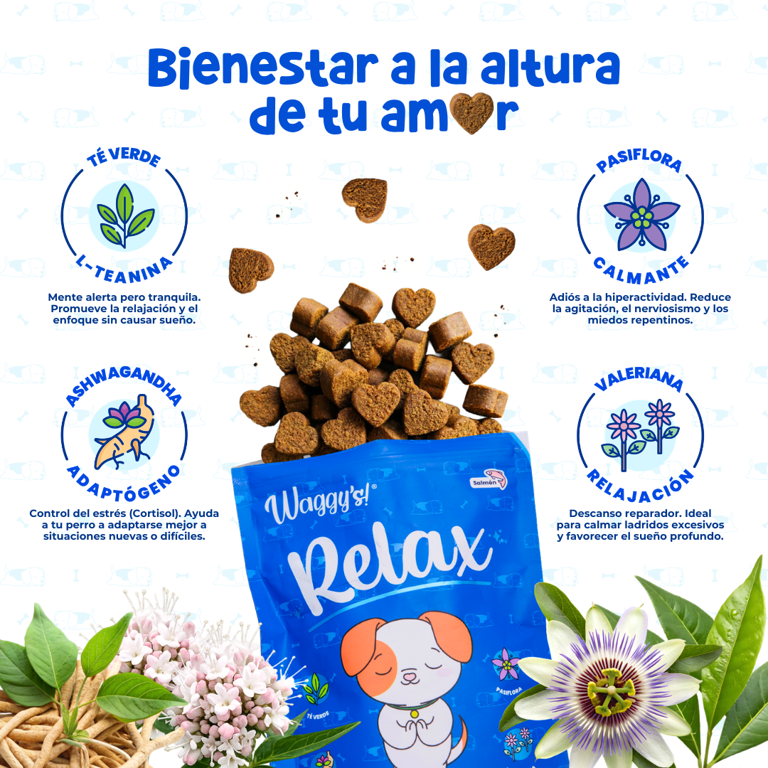 Relajante Natural para Ansiedad y Estrés en Perros | Waggy's Relax