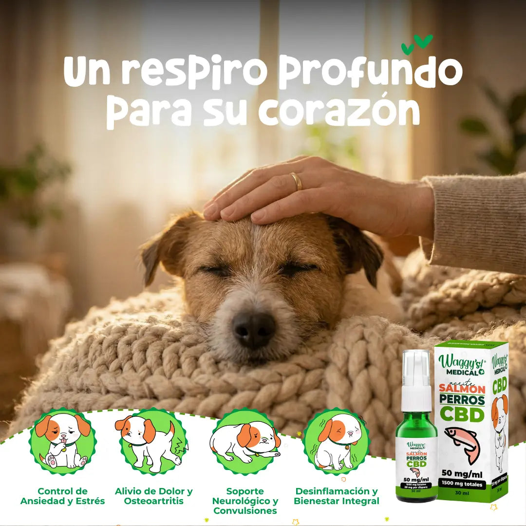 Aceite Calmante para Ansiedad y Dolor en Perros | Waggy's