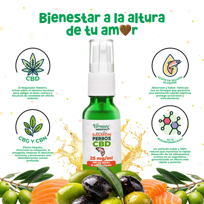 Aceite Calmante para Ansiedad y Dolor en Perros | Waggy's