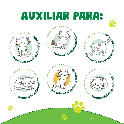Waggy's® Wellness Gatos