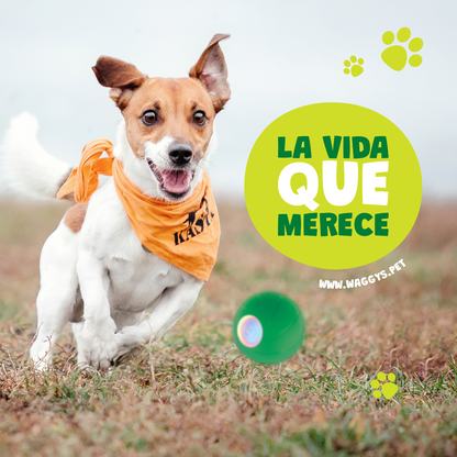Waggy's® Bola Loca