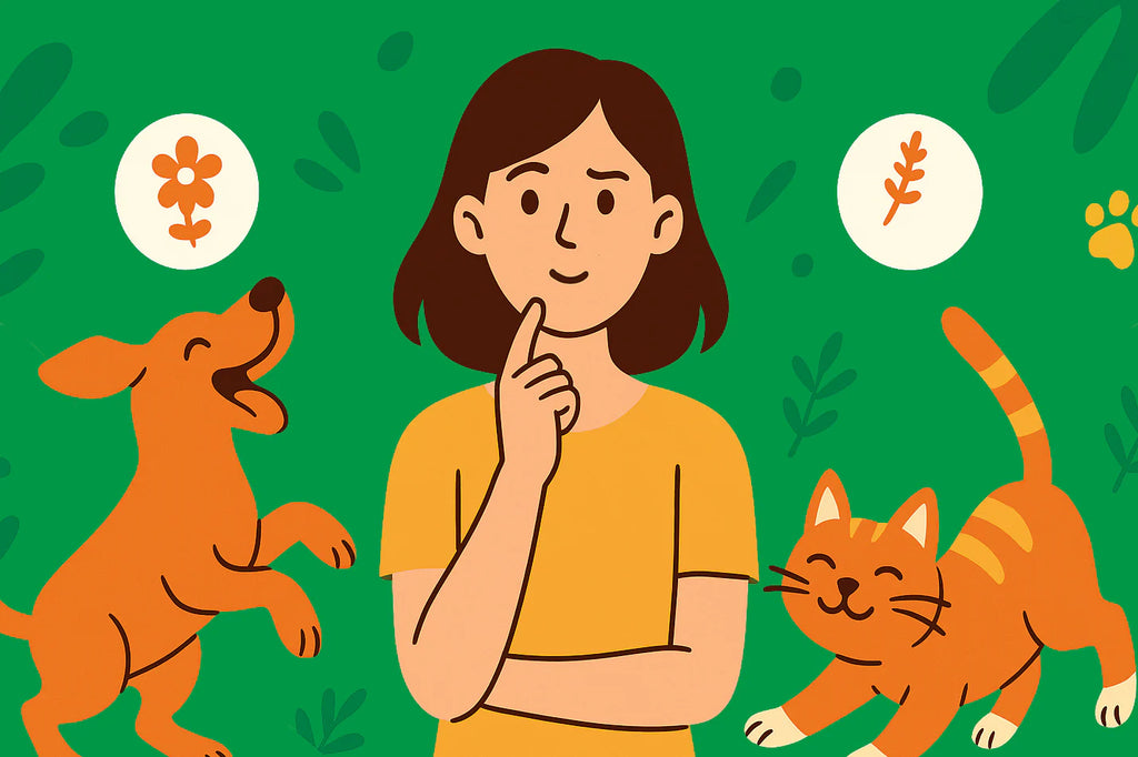 Waggy’s promueve el bienestar animal en México con productos respaldados por evidencia científica y compromiso con la salud de las mascotas.