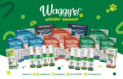 Waggy's® Wellness Gatos
